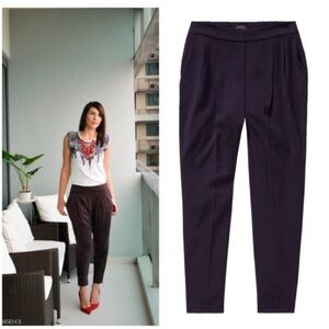 Aritzia Babaton Cohen Pants